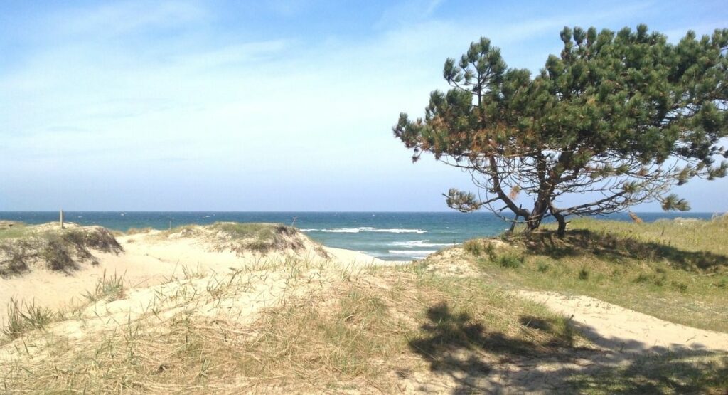 Stranden i Asserbo