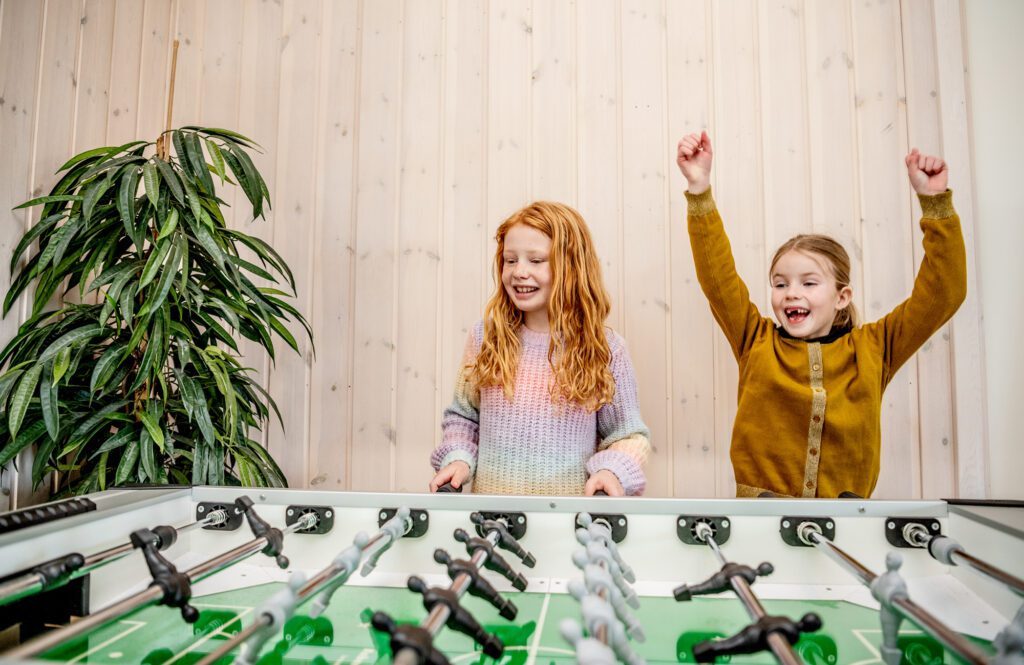 Store sommerhuse med aktivitetsrum