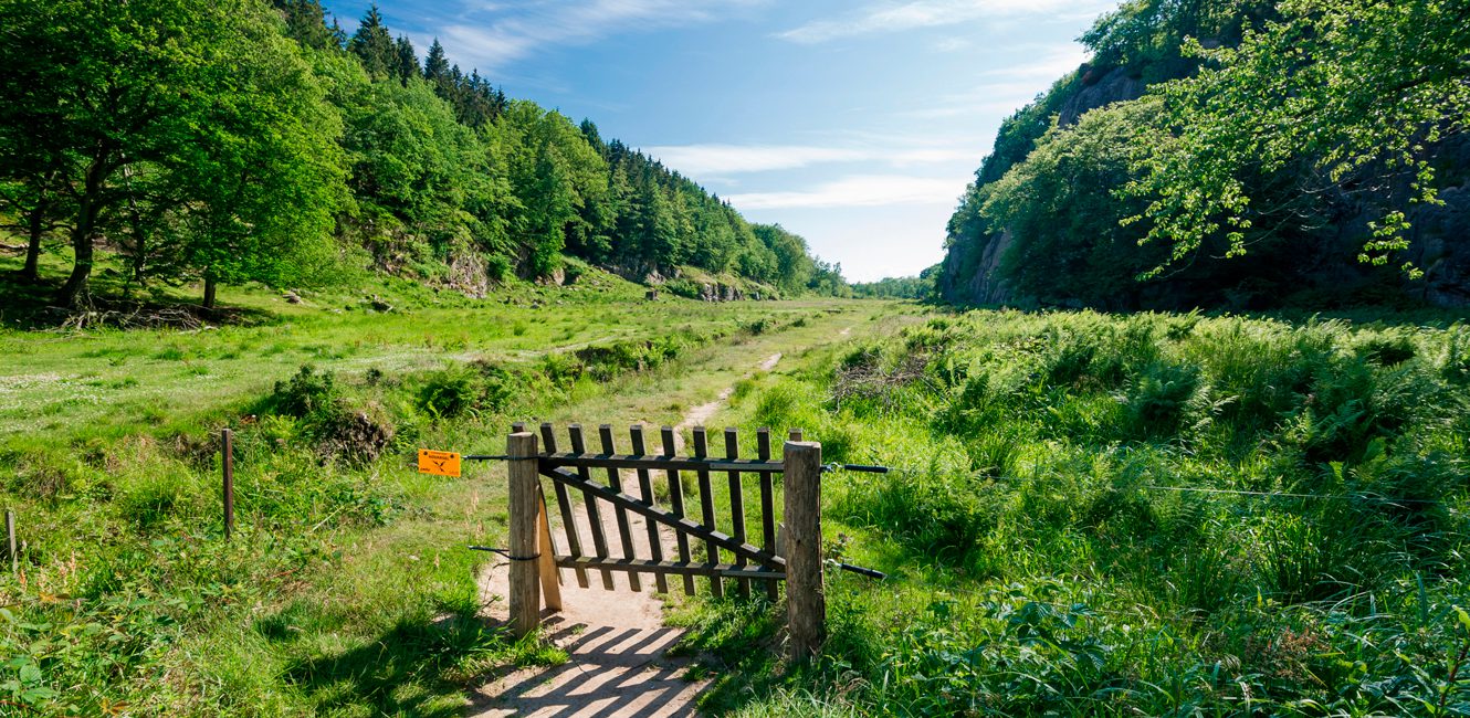 Ekkodalen på Bornholm