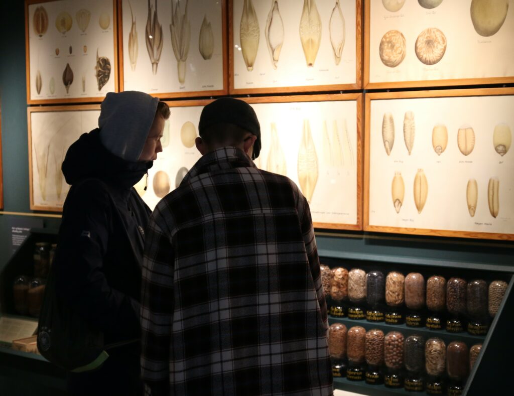 Besøgende i Det Grønne Museum på Gl. Estrup
