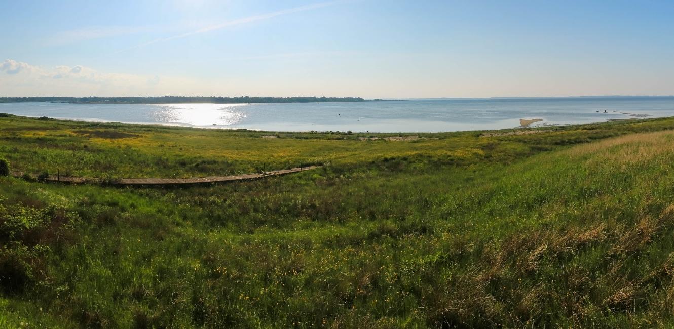 Sommerhusudlejning ved Limfjorden