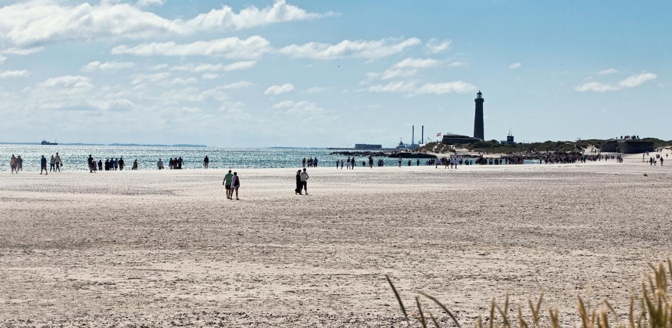 Skagens natur