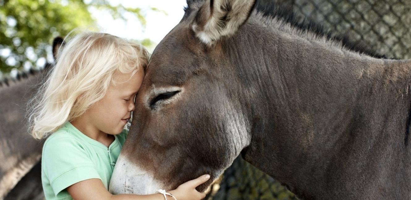Knuthenborg Safaripark på Lolland