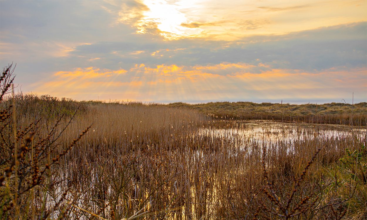 Solnedgang på Fanø