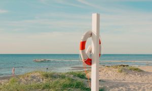Udsigten fra stranden i Fjellerup - sommerhusudlejning ved Fjellerup Strand