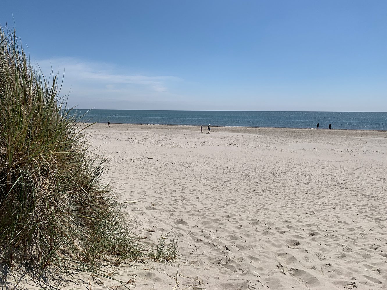 Usigt til vandet i Blåvand