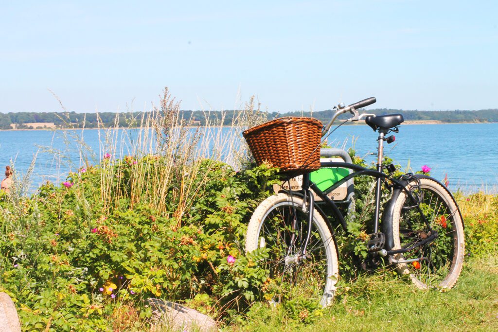 Stranden ved Juelsminde i Østjylland