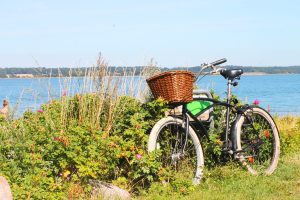 Stranden ved Juelsminde i Østjylland