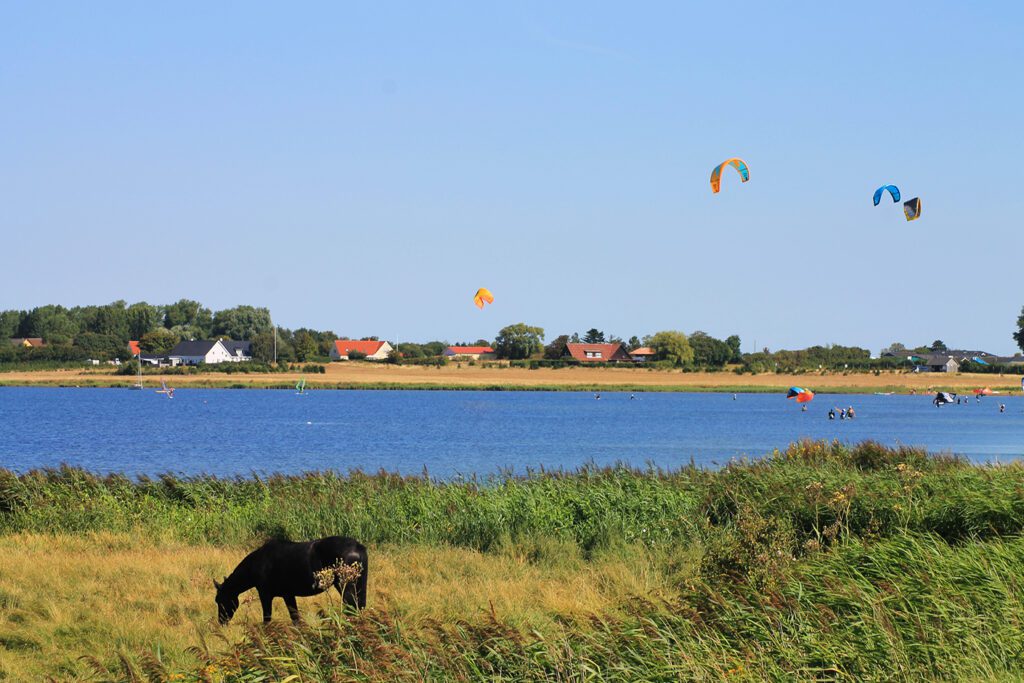 Udsigt over vandet på Kegnæs - sommerhusudlejning på Kegnæs