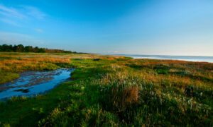 Oplev Djurslands skønne natur på ferie i luksuspoolhus - sommerhusudlejning på Djursland