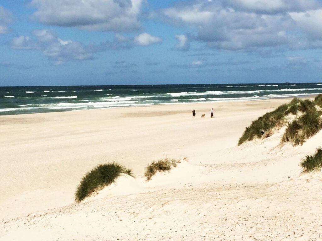 Stranden i Henne - sommerhusudlejning i Henne Strand