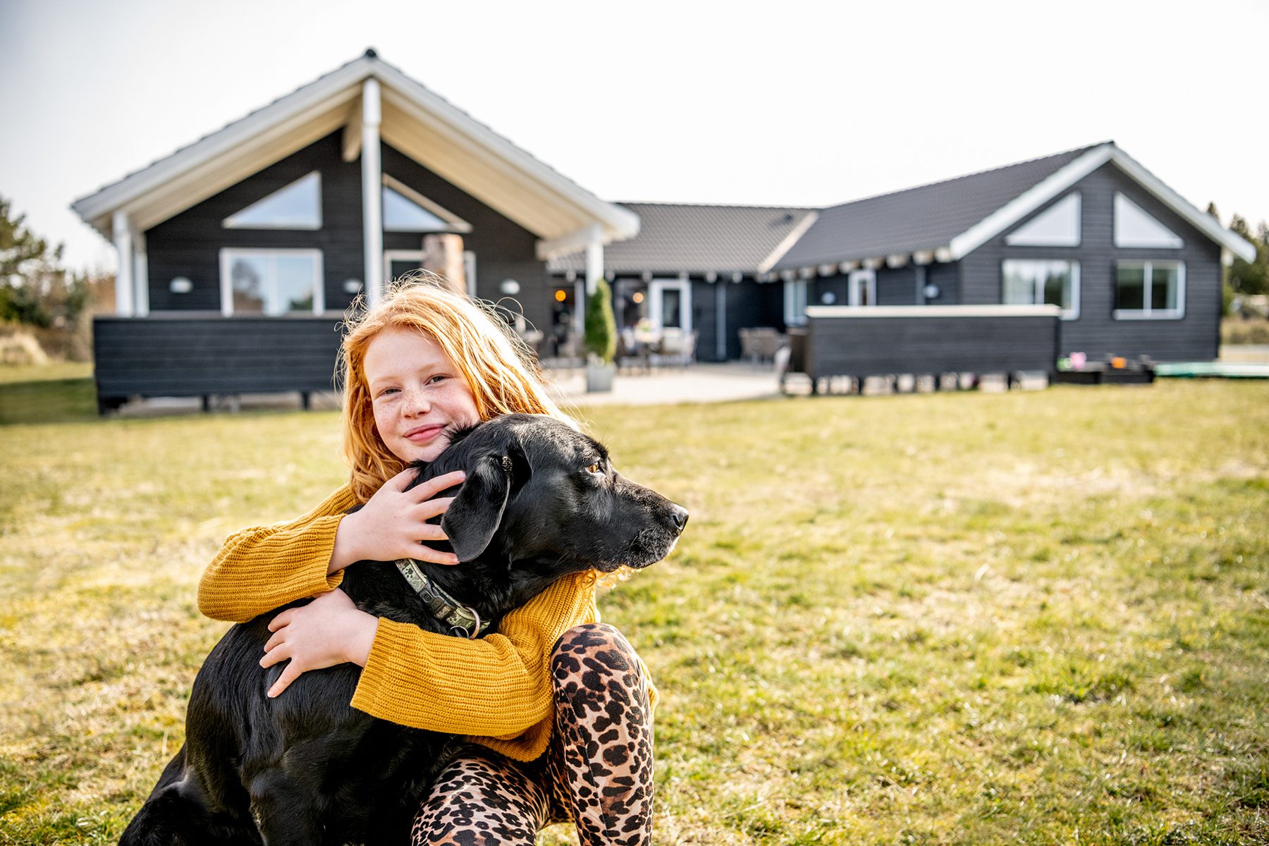 Sommerhus og hund