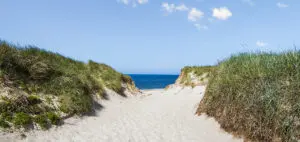 Dejlige sommerhuse ved Hvide Sande i Vestjylland - sommerhusudlejning i Hvide Sande