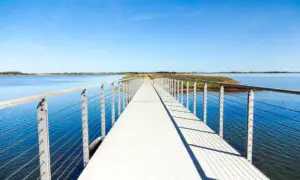 Ringkøbing Fjord
