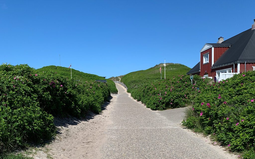 Sommerhus i Søndervig