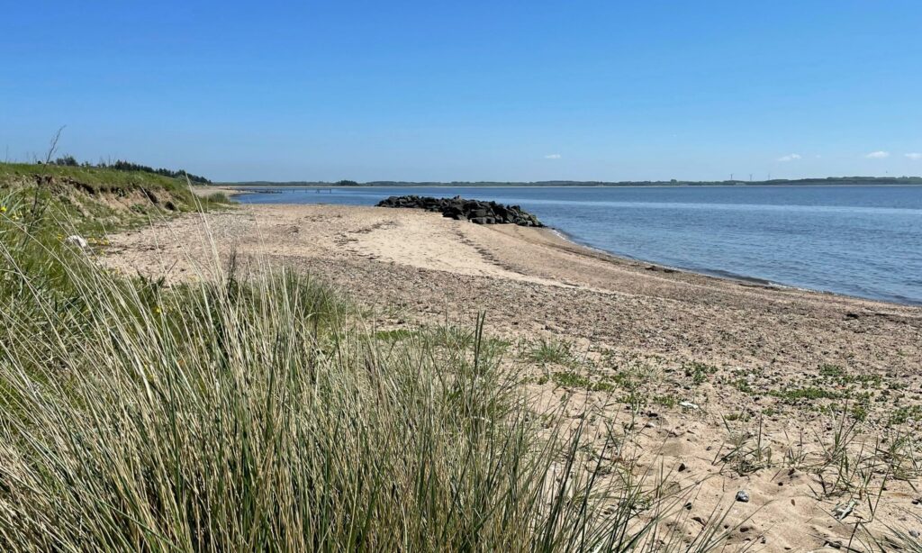 Børnevenlig strand ved Limfjorden