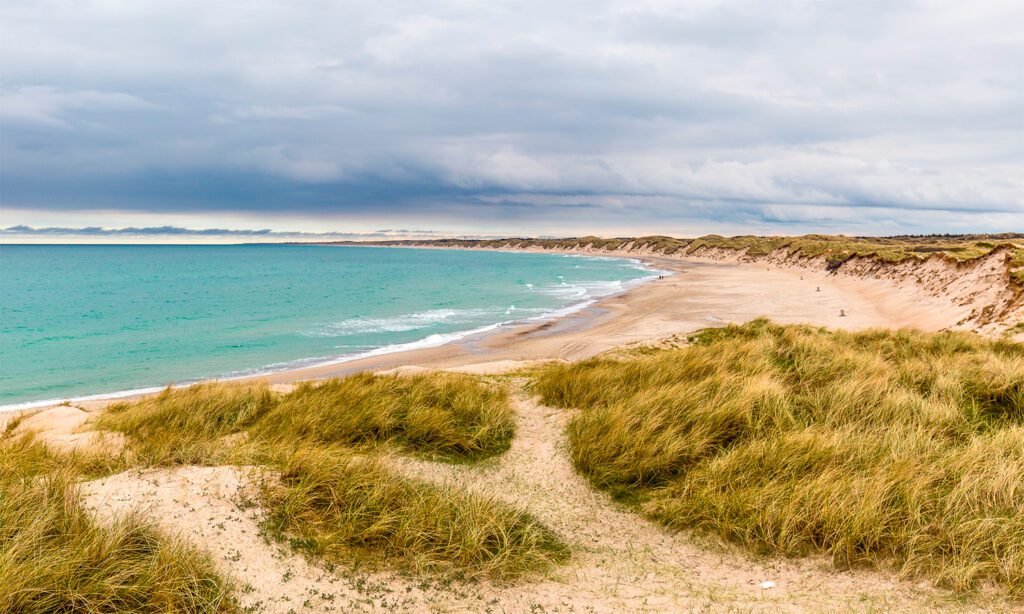 Strand i Nationalpark Thy