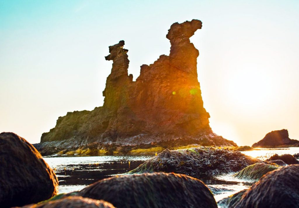 Skøn natur tæt på vores sommerhus Bornholm