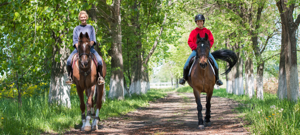 Ridetur på ferien i Danmark