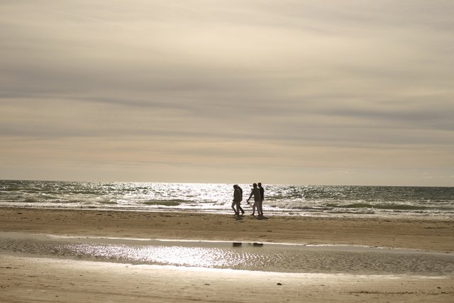 Gåtur langs stranden ved Vedersø Klit