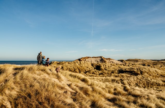 Klitlandskab ved Vedersø Klit