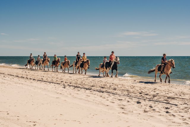 Ryttere på stranden nær Vedersø Klit