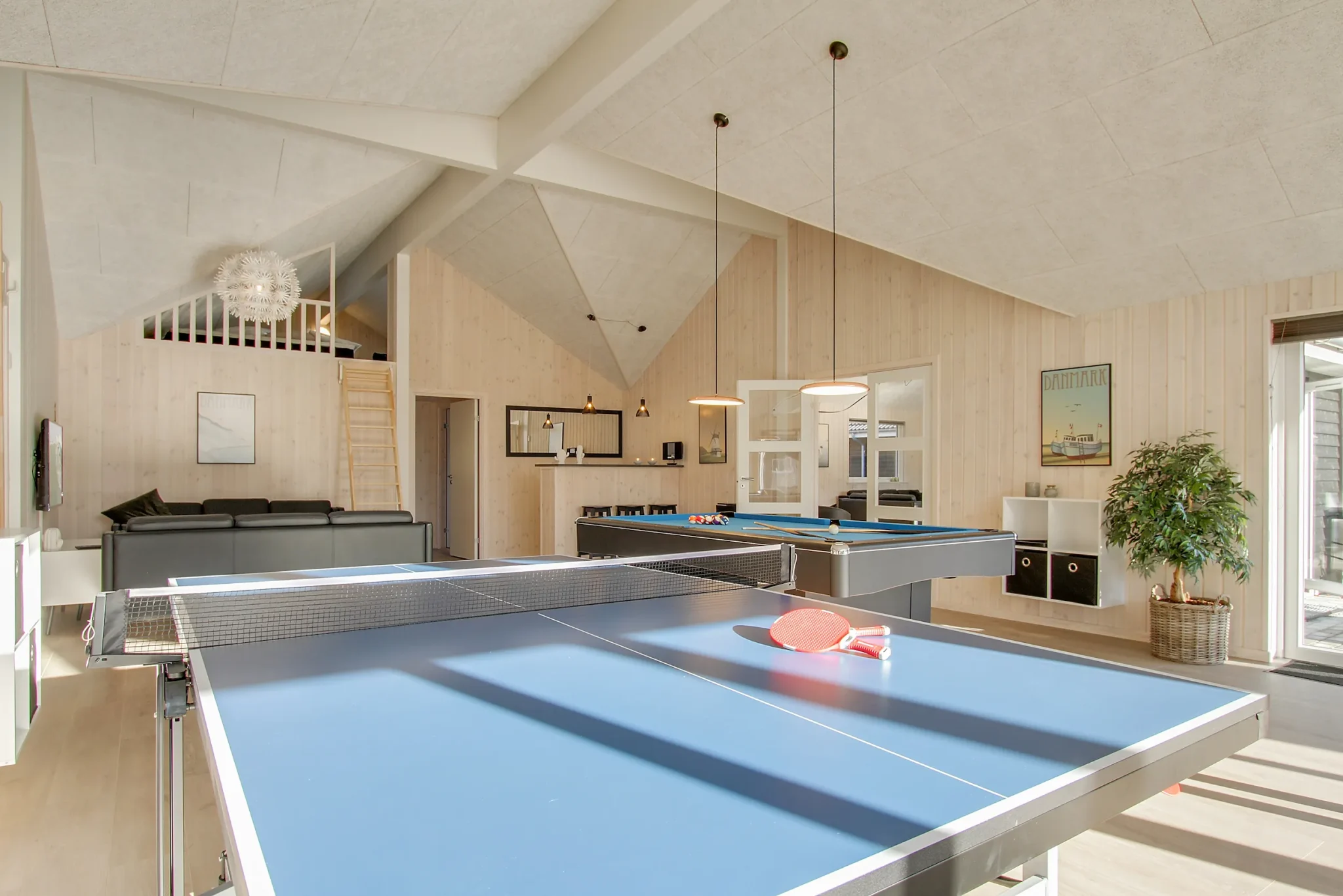 sommerhus med bordtennis og billard i aktivitetsrum
