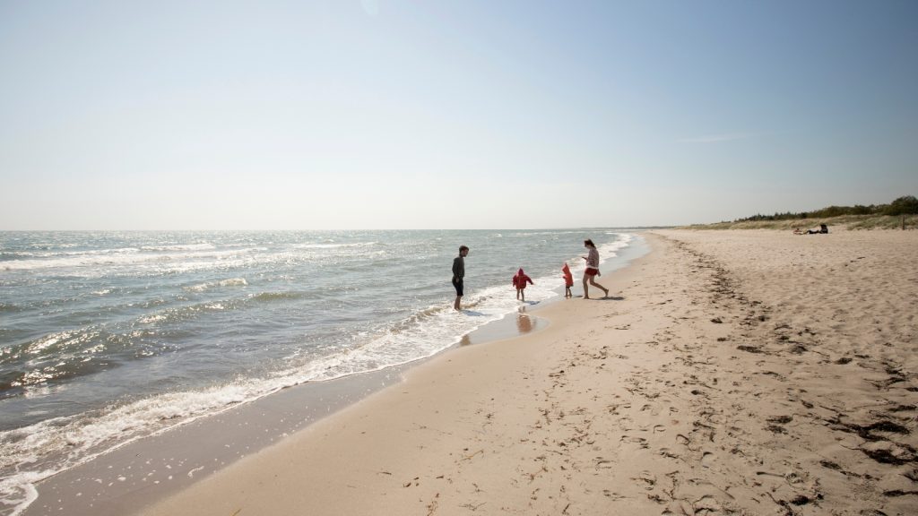 Falster Strand