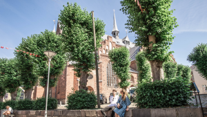 Haderslev by