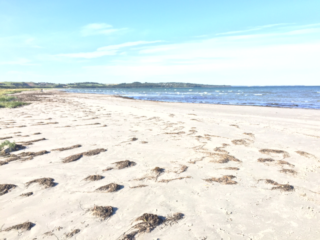 En bred, indbydende sandstrand med blide bølger og klar himmel, der illustrerer de smukke, børnevenlige kystlinjer på Sjællands Odde.