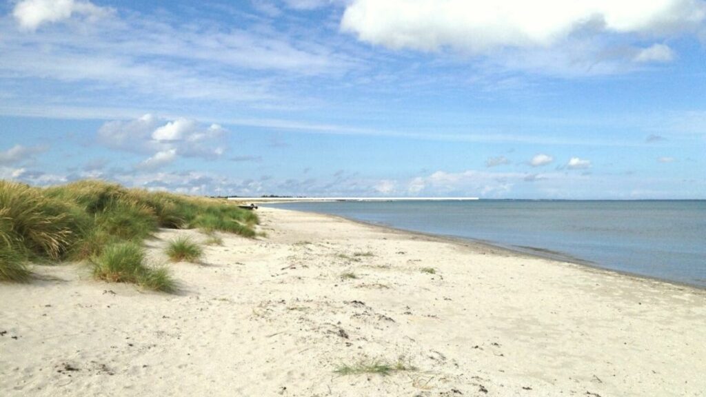Ålbæk Strand, Nordjylland