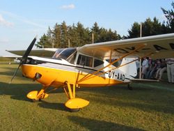 Gult fly