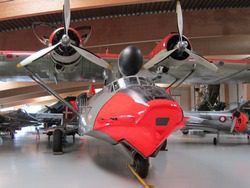 Danmarks fly