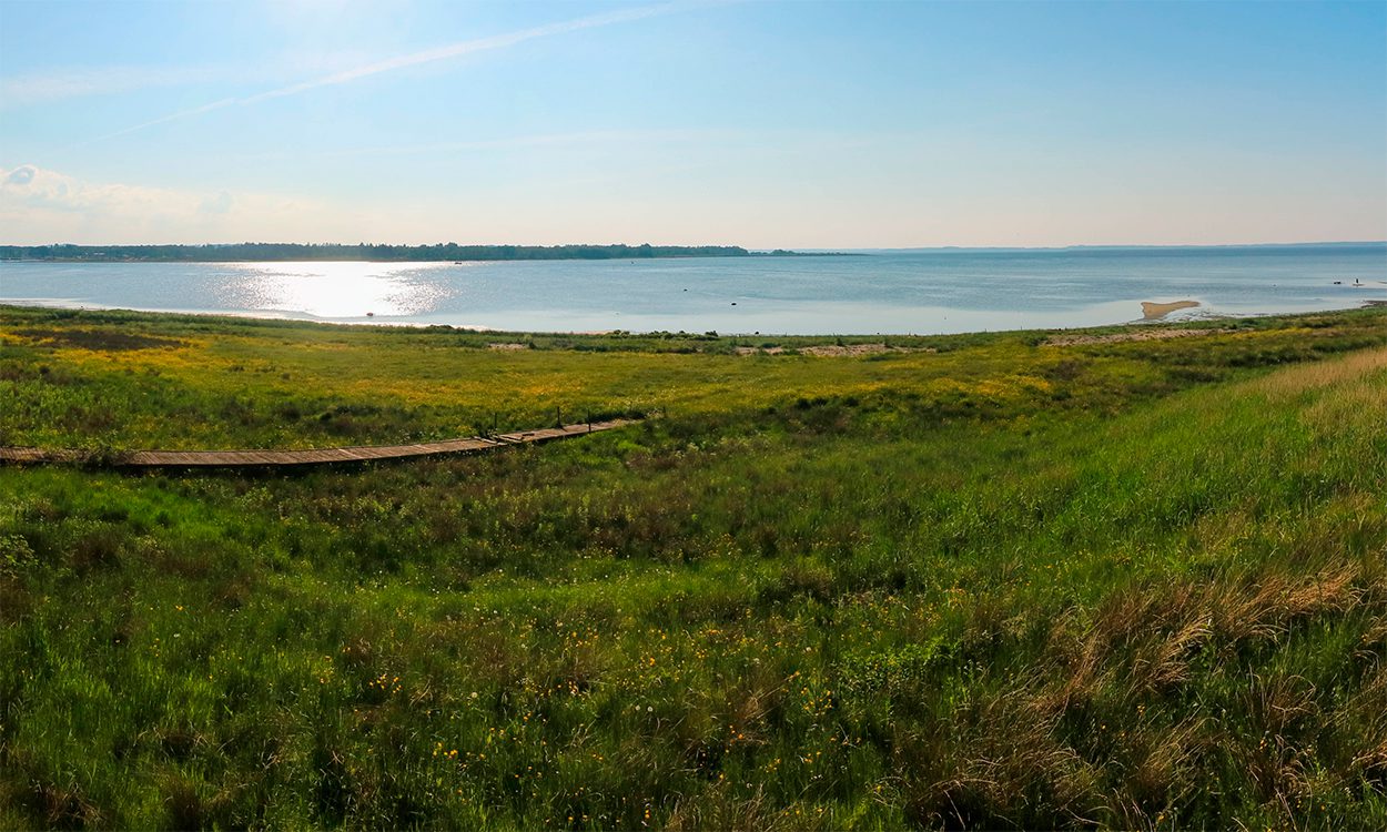 Limfjorden