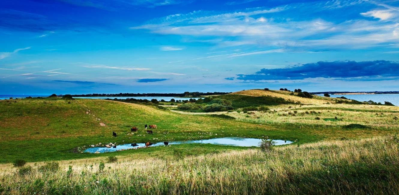 Fynsk landskap