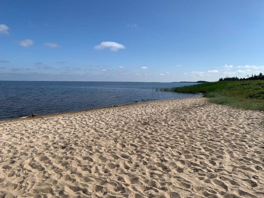 Bork i Vestjylland