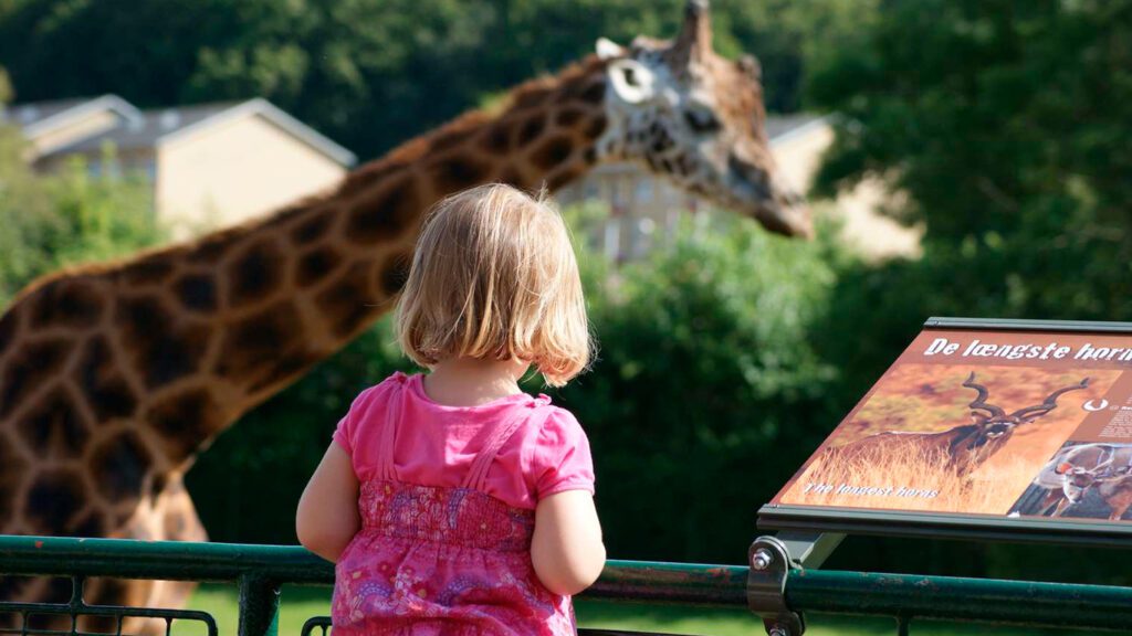 Aalborg Zoo