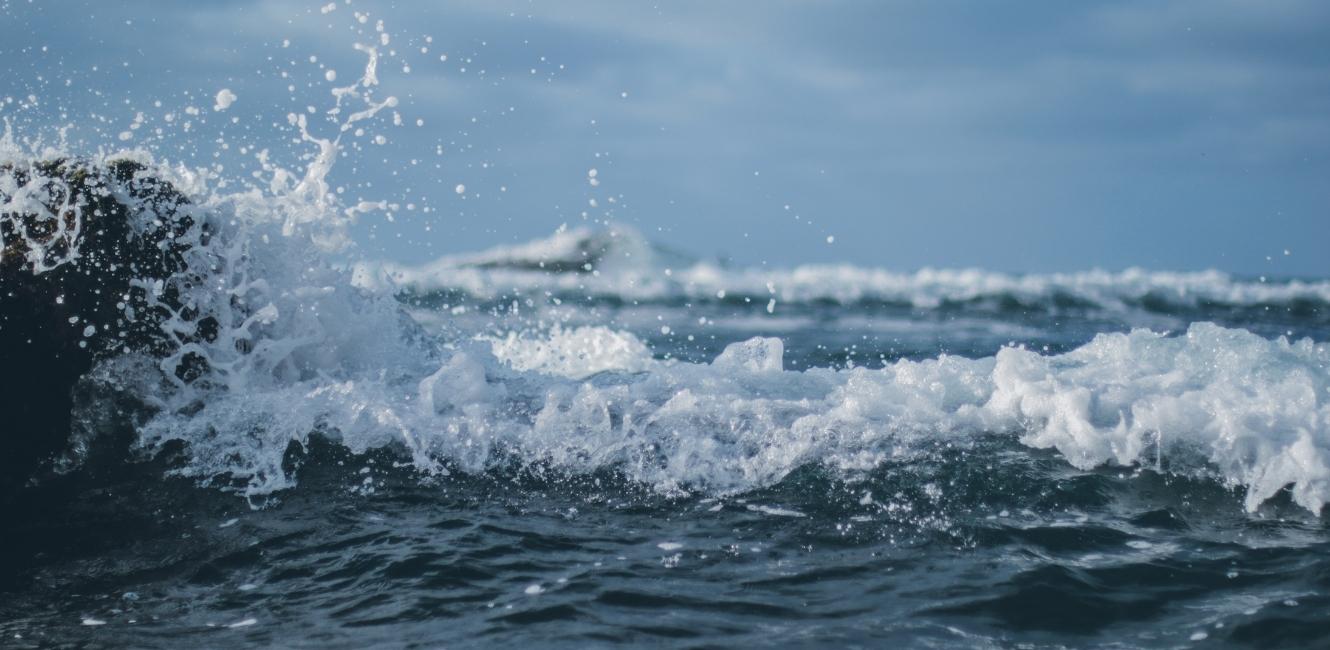 Meer