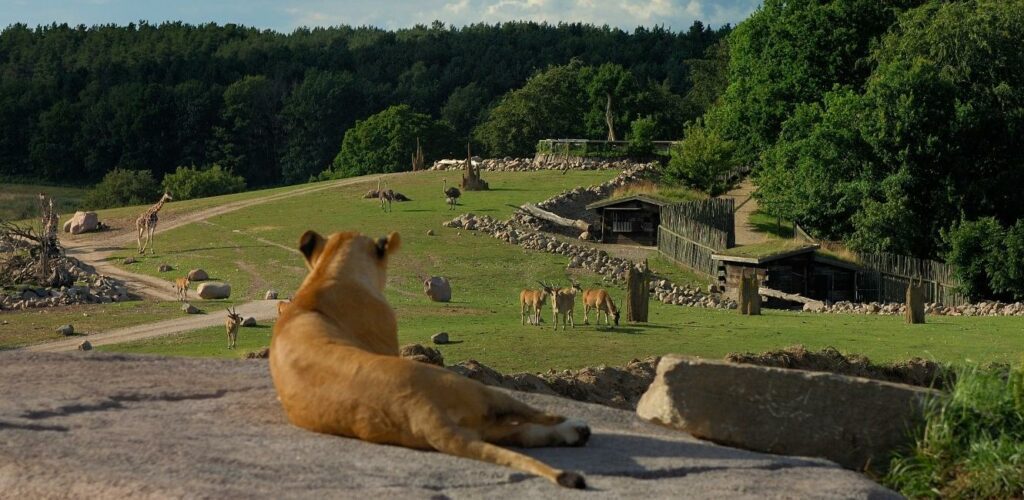 Tierpark