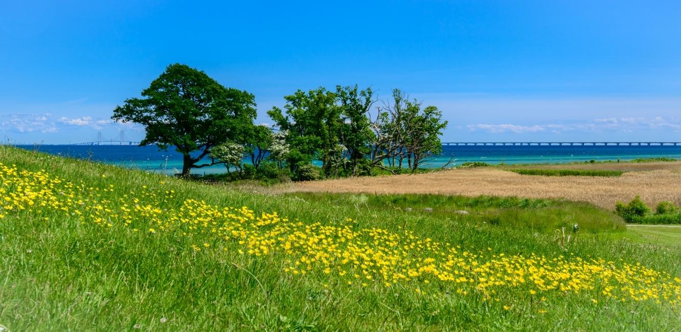 Nyborg