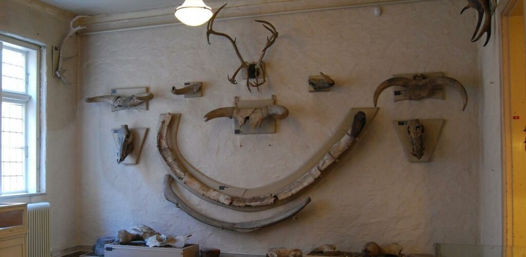 Ausstellung