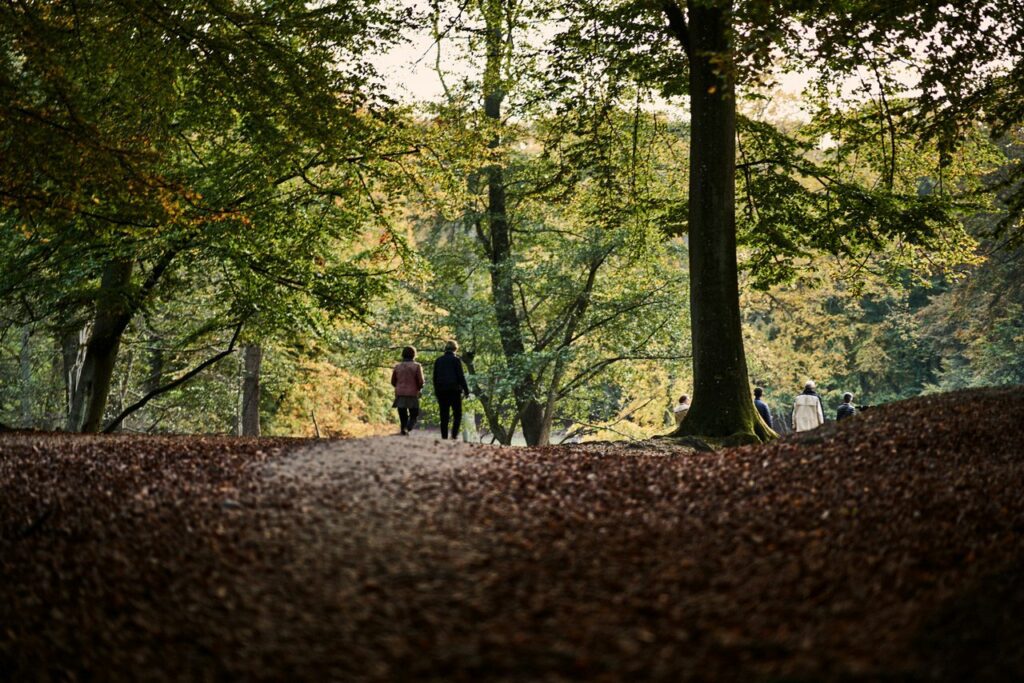Herbst