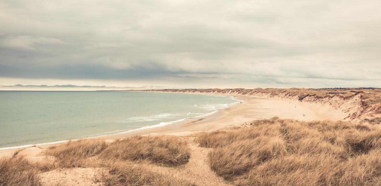 Vendsyssel Natur